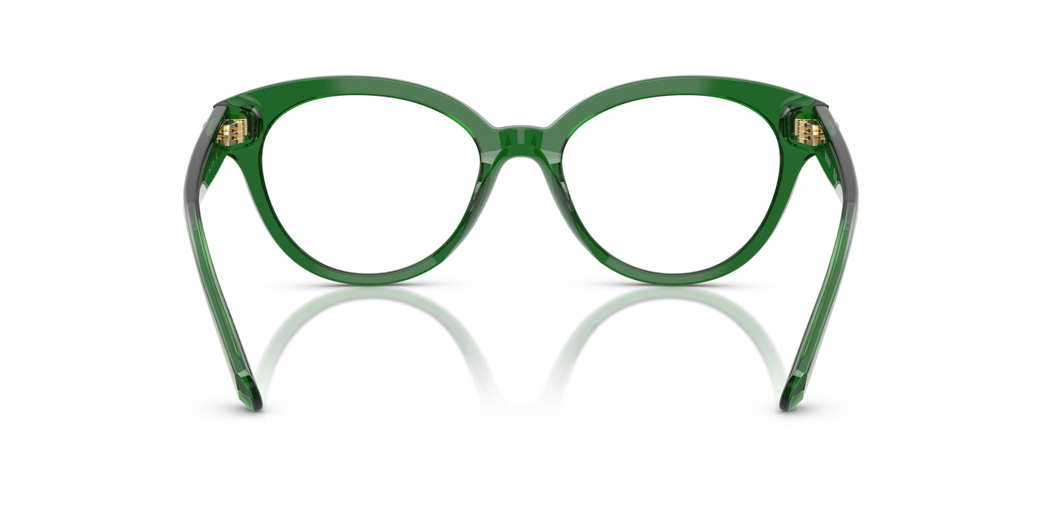 SWAROVSKI SK2037 1064 54