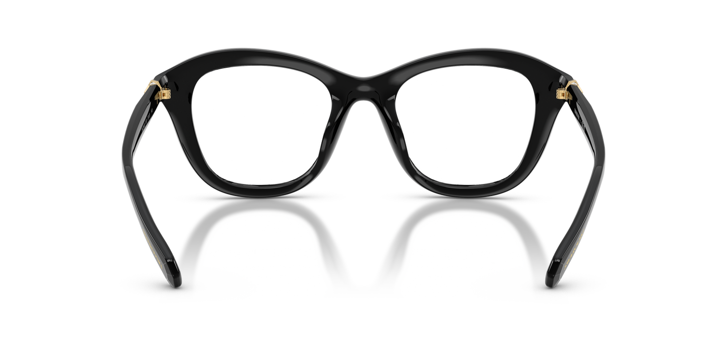 SWAROVSKI SK2042U 1001 50