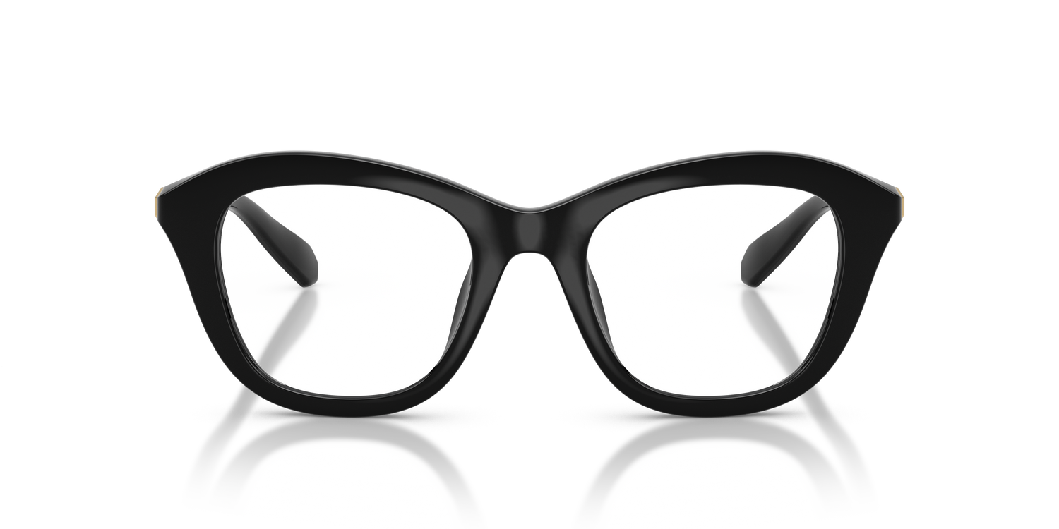 SWAROVSKI SK2042U 1001 50