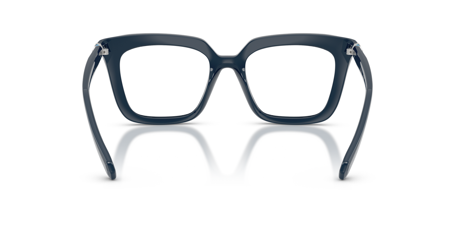 SWAROVSKI SK2043 1004 49