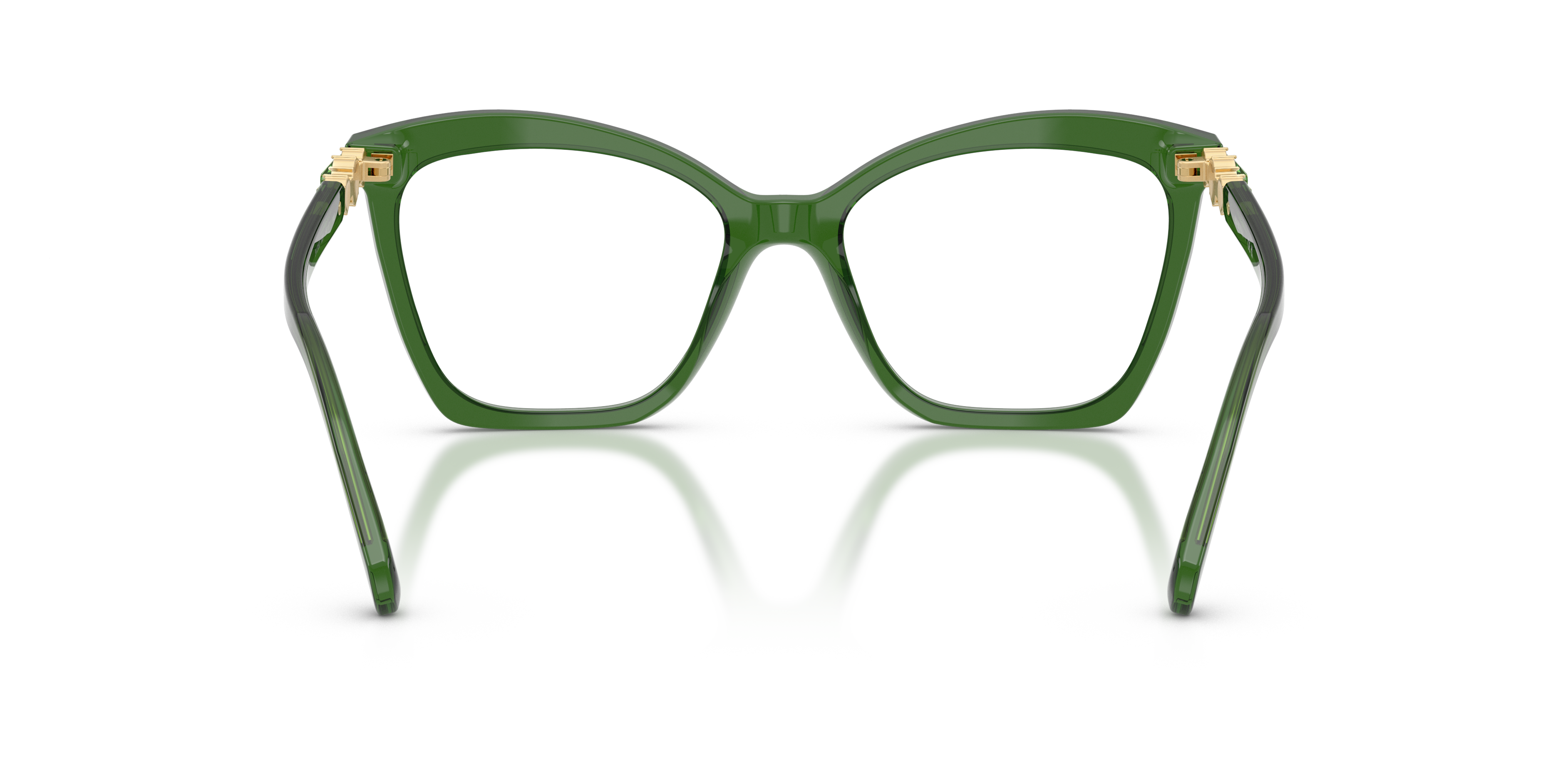 SWAROVSKI SK2053 1081 54