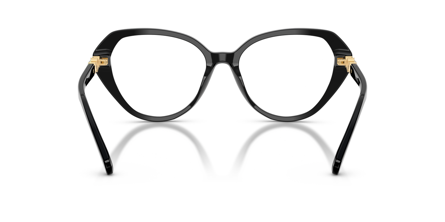 SWAROVSKI SK2054 1001 55