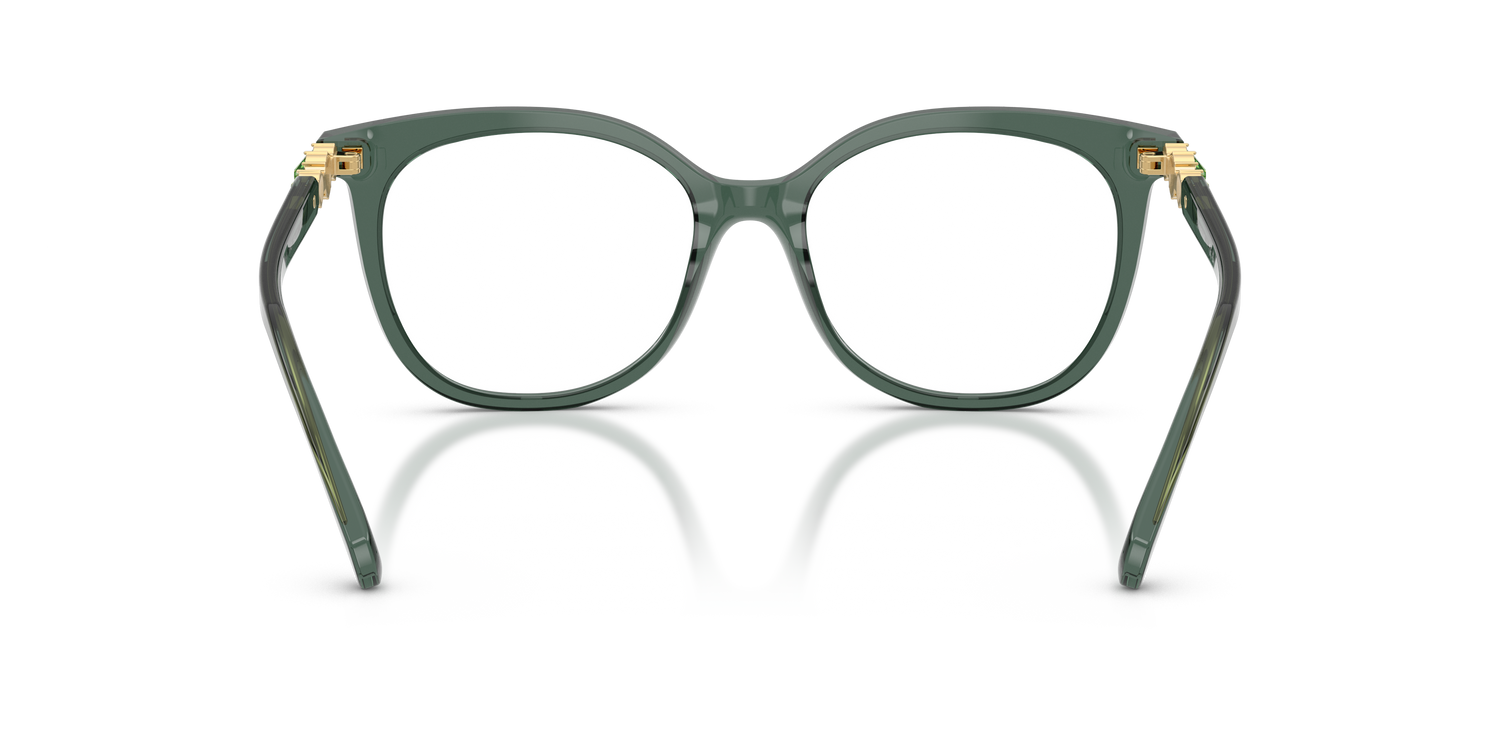 SWAROVSKI SK2055 1043 52