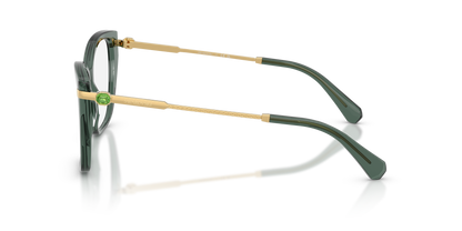 SWAROVSKI SK2060 1043 55