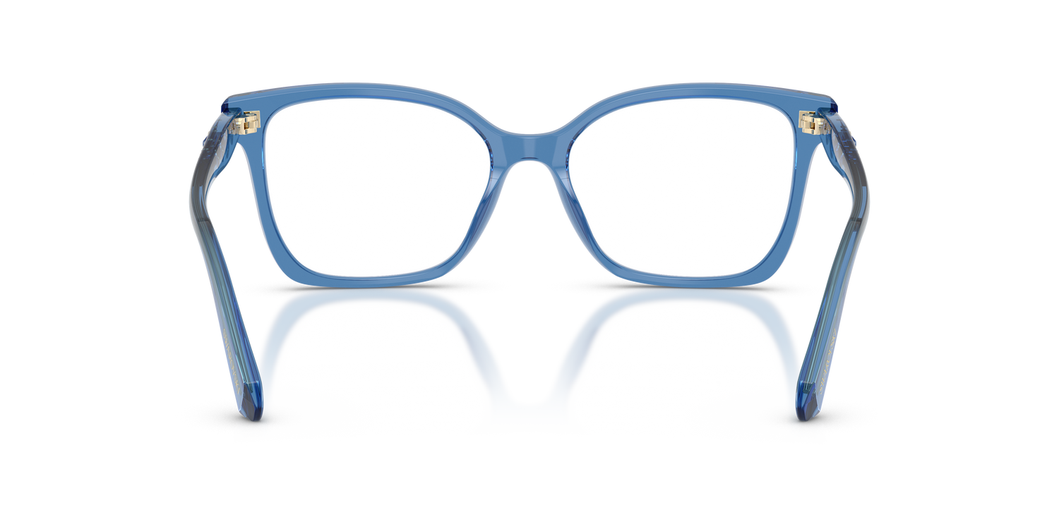 SWAROVSKI SK2061 1100 53