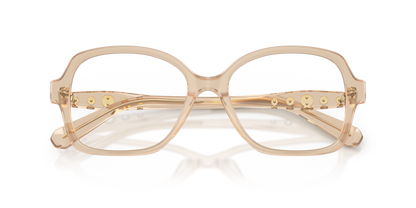 SWAROVSKI SK2063 1034 54
