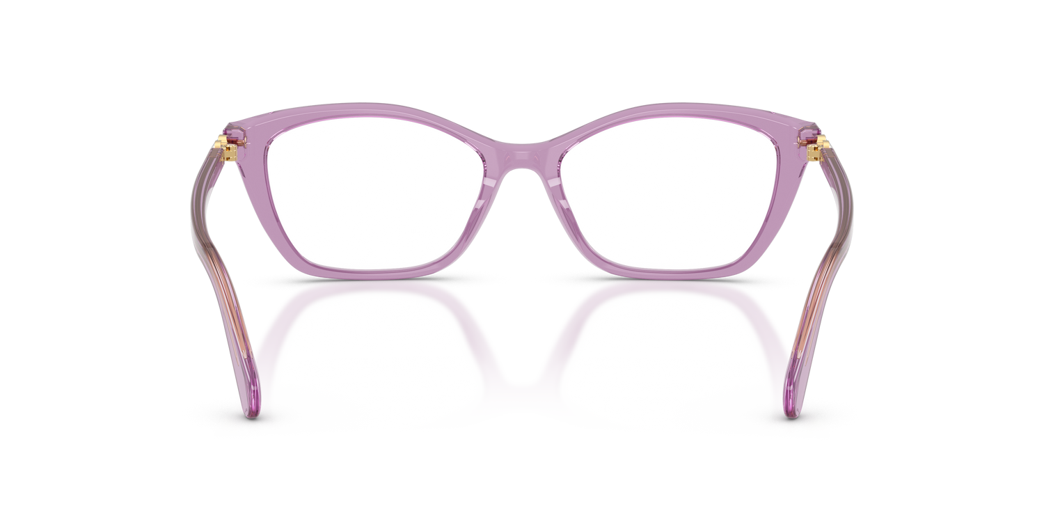 SWAROVSKI SK2065 1096 54