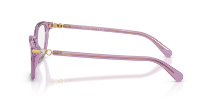 SWAROVSKI SK2065 1096 54