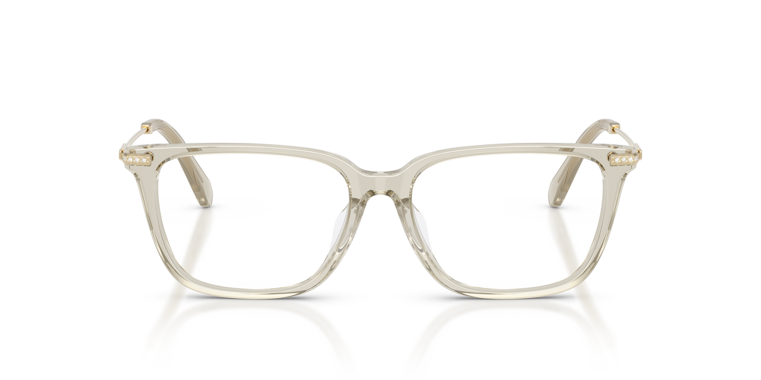 SWAROVSKI SK2067D 3003 53