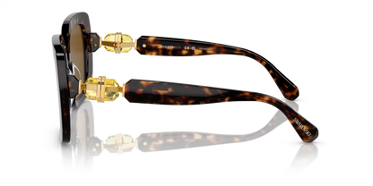 SWAROVSKI SK6001 100283 55