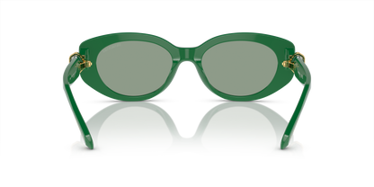 SWAROVSKI SK6002 10079C 53