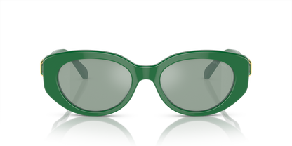 SWAROVSKI SK6002 10079C 53