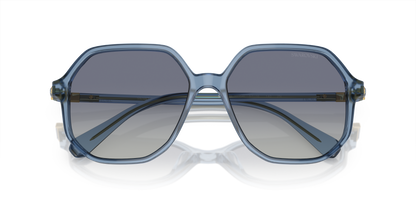 SWAROVSKI SK6003 10354L 57