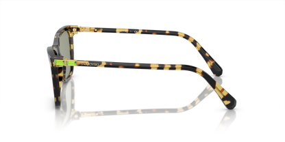 SWAROVSKI SK6004 1009/2 55