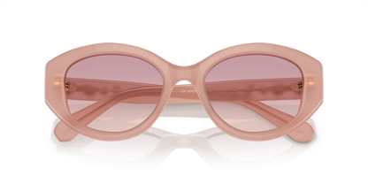 SWAROVSKI SK6005 102568 53