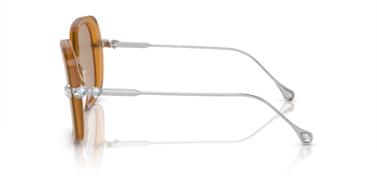 SWAROVSKI SK6011 200563 55