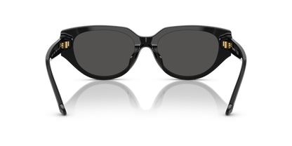 SWAROVSKI SK6035D 100187 54