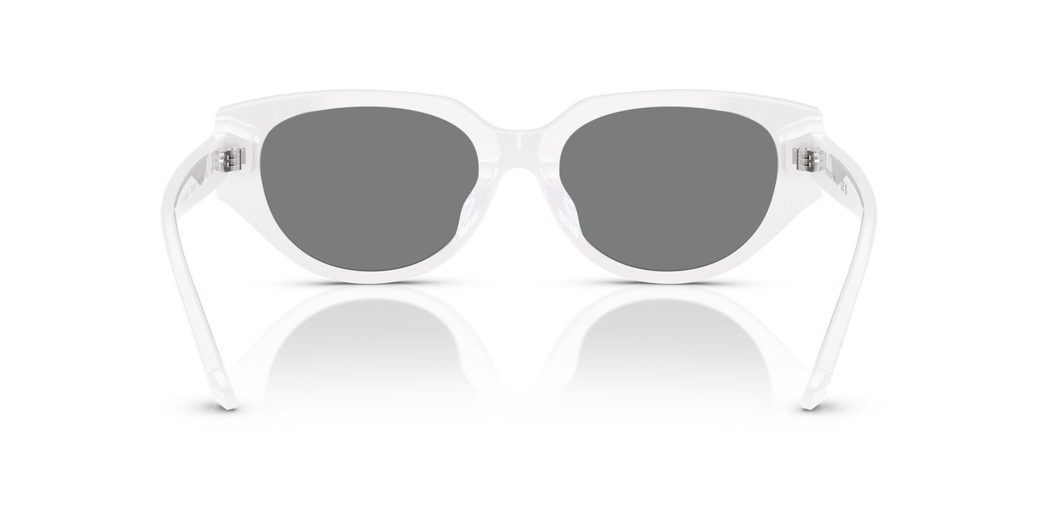 SWAROVSKI SK6035D 105087 54