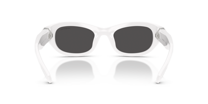 SWAROVSKI SK6036U 105087 50