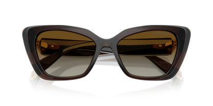 SWAROVSKI SK6047 1084T5 54