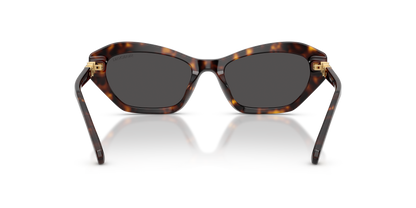 SWAROVSKI SK6048 100287 54