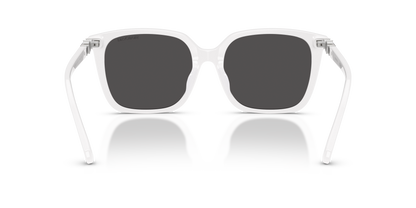 SWAROVSKI SK6053D 105087 55