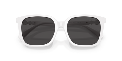 SWAROVSKI SK6053D 105087 55