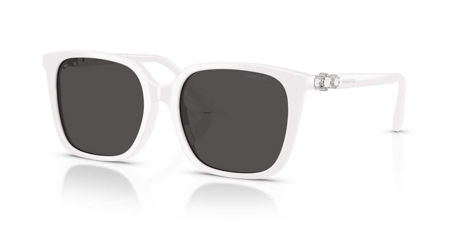 SWAROVSKI SK6053D 105087 55