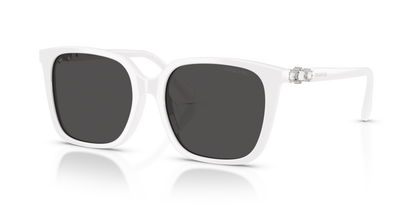 SWAROVSKI SK6053D 105087 55