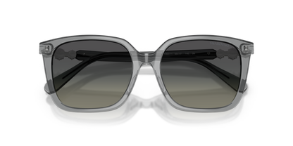 SWAROVSKI SK6053D 106211 55