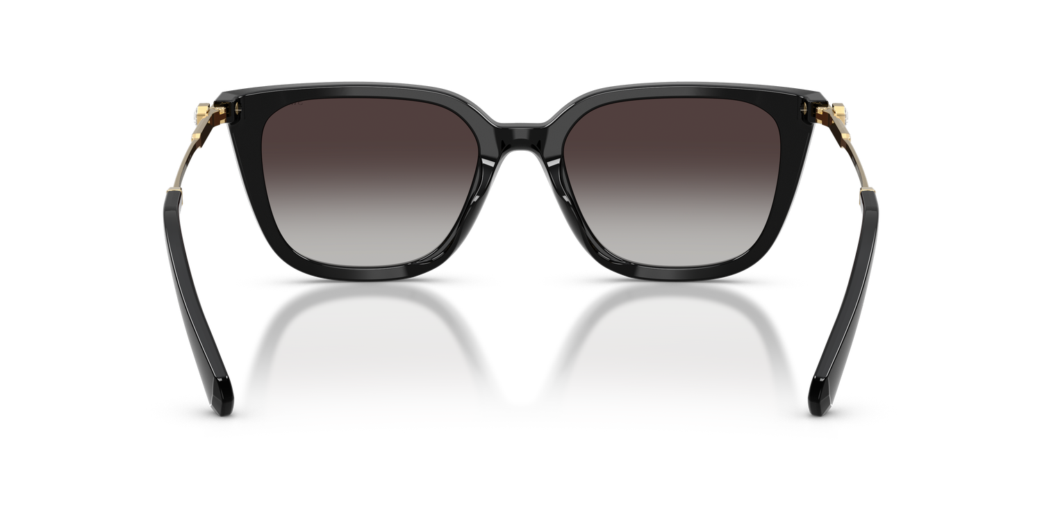 SWAROVSKI SK6054D 10018G 63