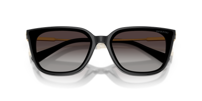 SWAROVSKI SK6054D 10018G 63