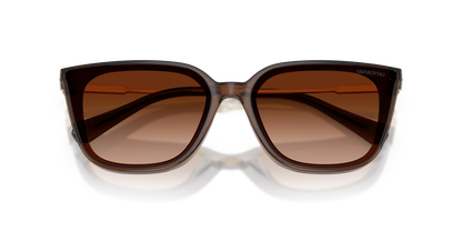 SWAROVSKI SK6054D 108474 63