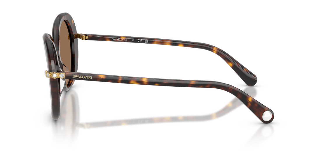 Gafas de sol swarovski sk6059 100273 havana butterfly femenino talla 55mm - Vista de detalle