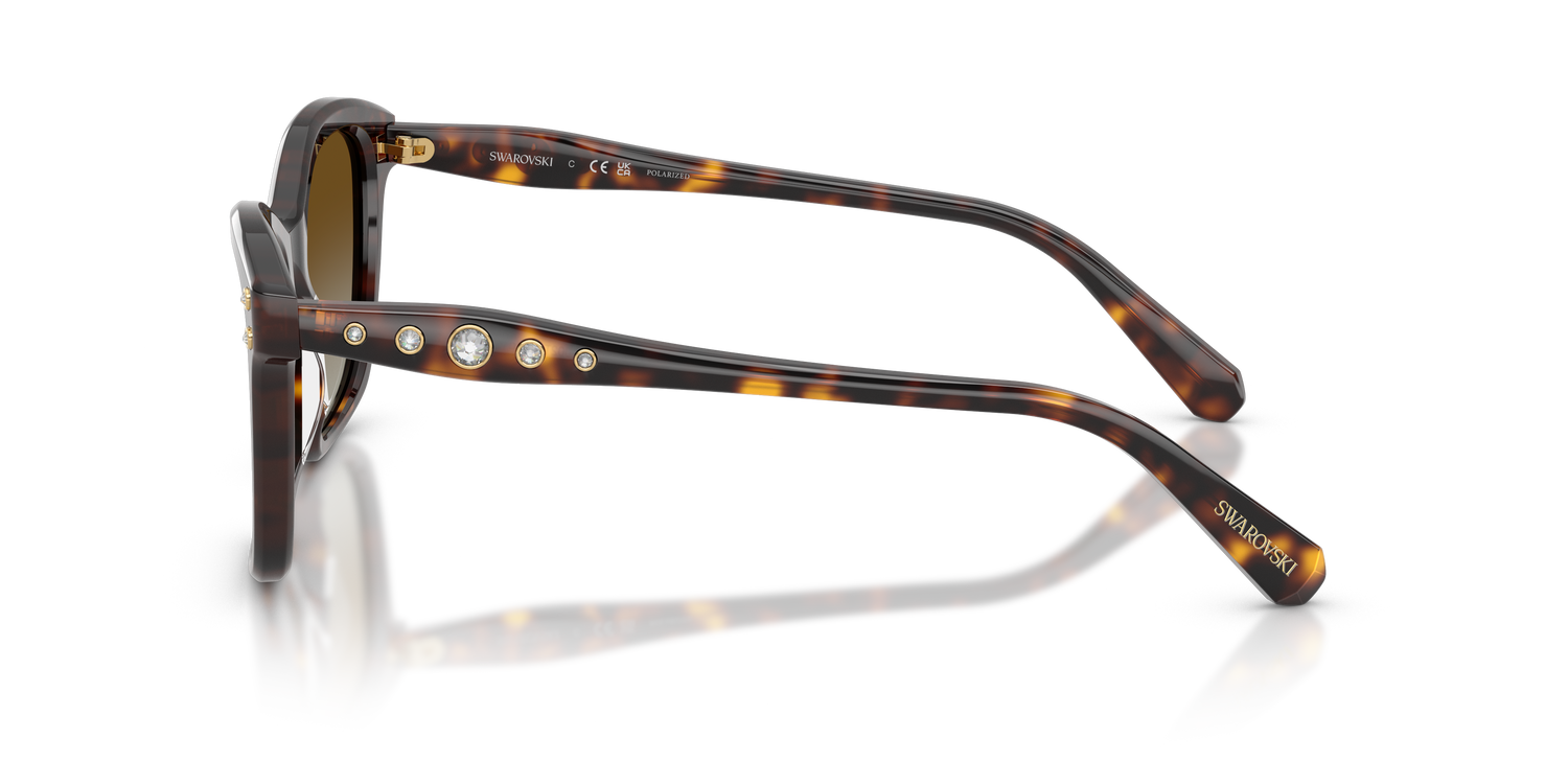 SWAROVSKI SK6063 1002T5 54