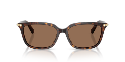 SWAROVSKI SK6064D 100273 56