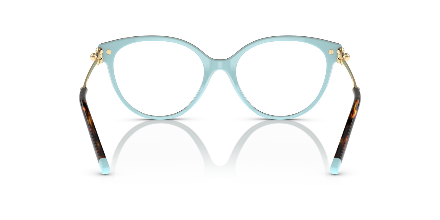 TIFFANY TF2217 8134 53