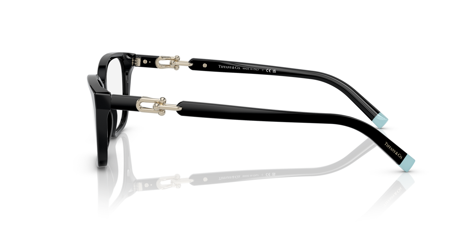 TIFFANY TF2229 8001 55