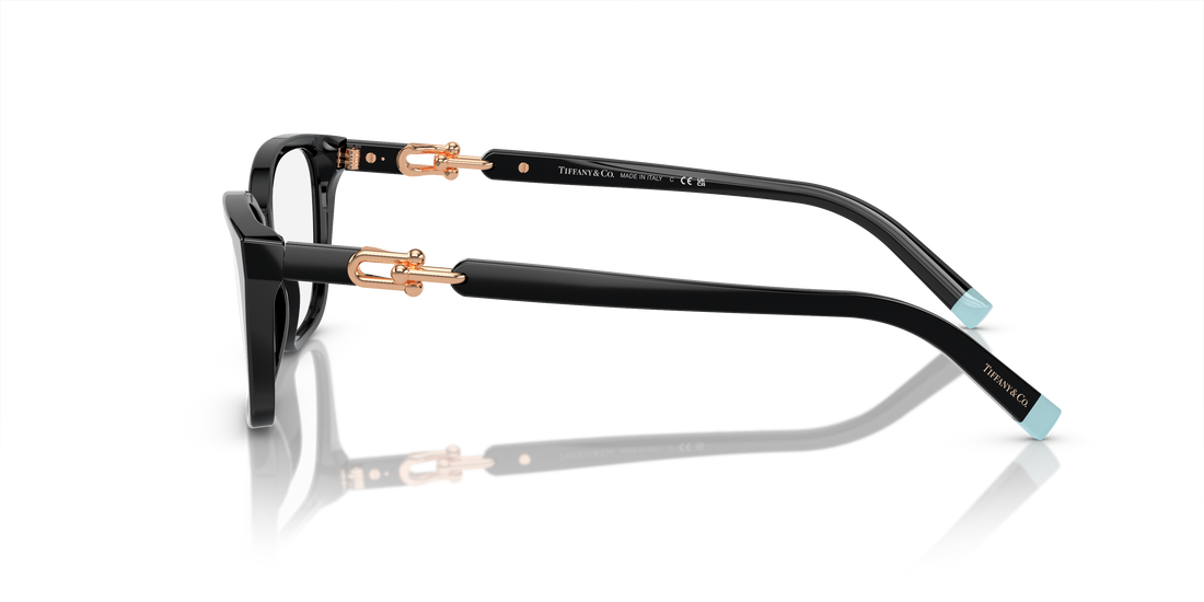 TIFFANY TF2229 8420 53