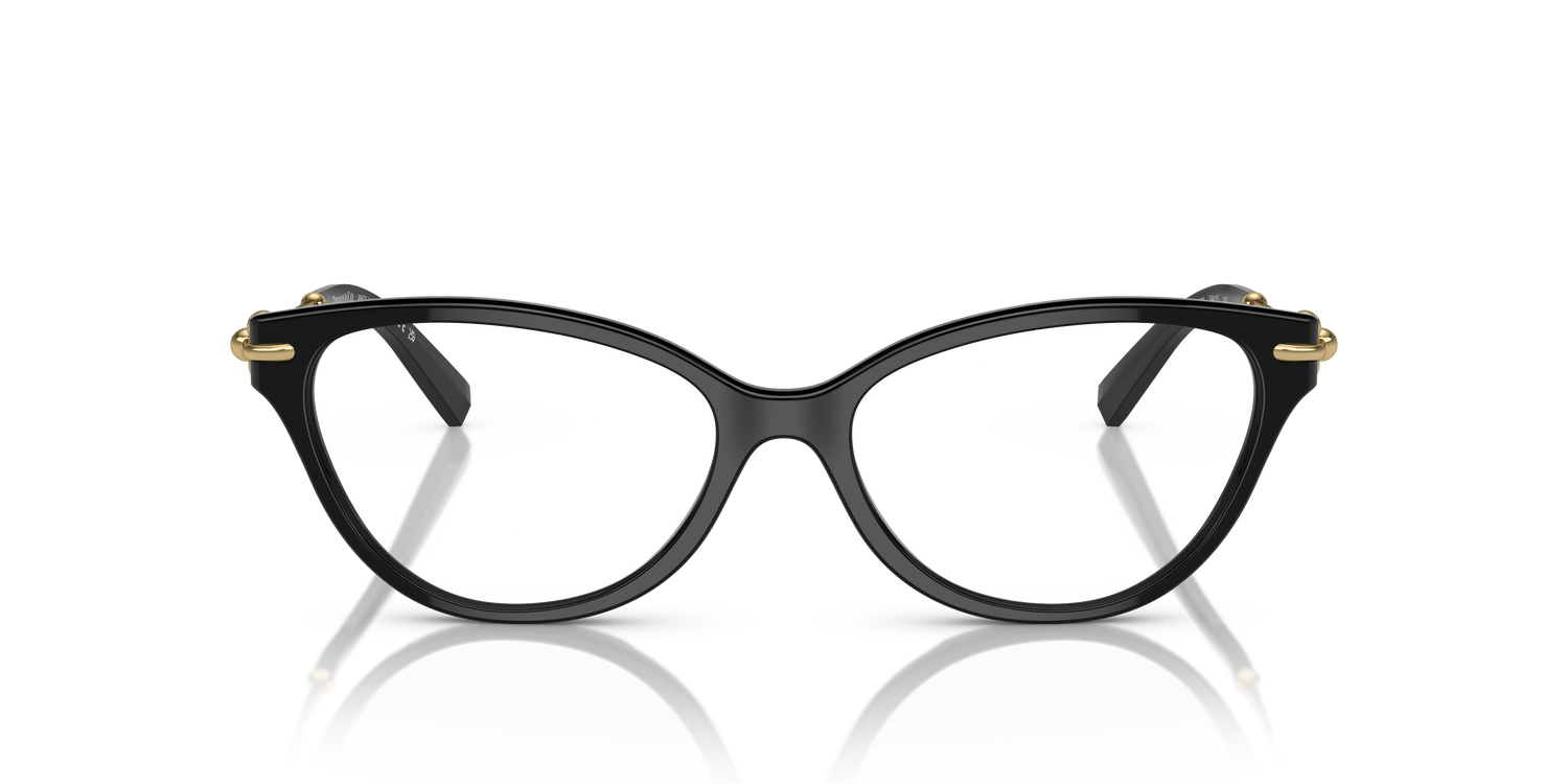 TIFFANY TF2231 8001 54