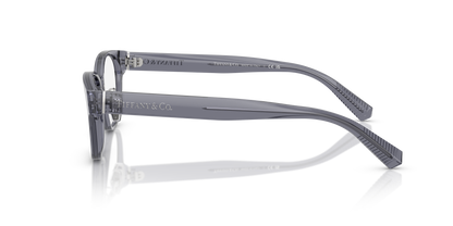 TIFFANY TF2263D 8405 53