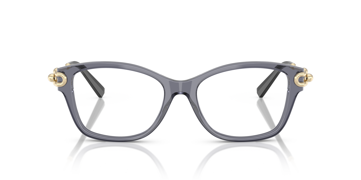 TIFFANY TF2266 8405 53