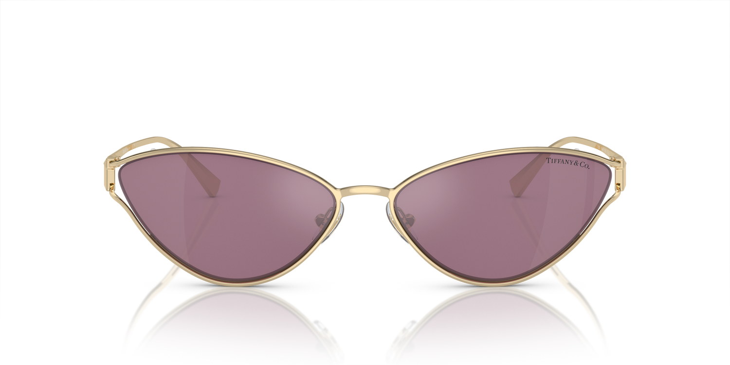 TIFFANY TF3095 6194AK 61