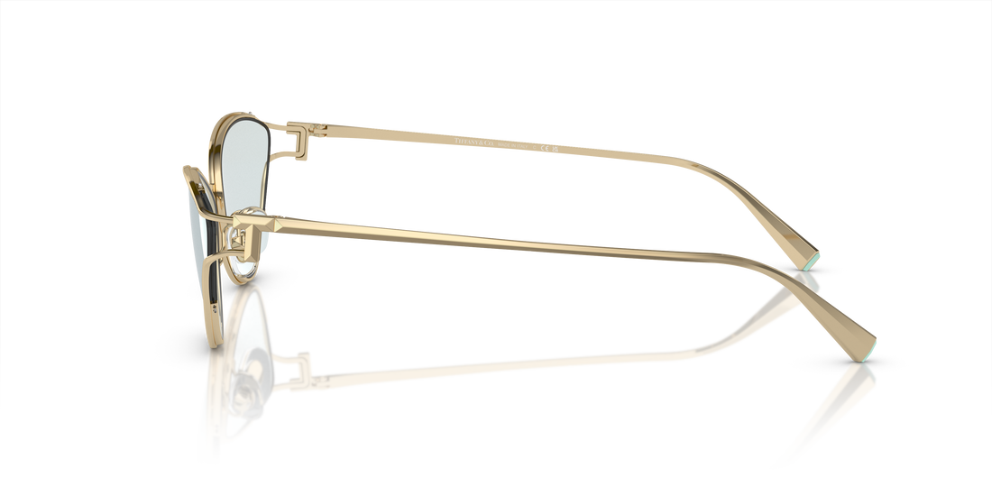 TIFFANY TF3095 6196MF 61