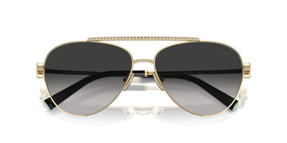 TIFFANY TF3101B 60213C 59