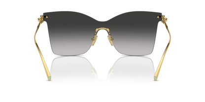 TIFFANY TF3103K 62113C 43