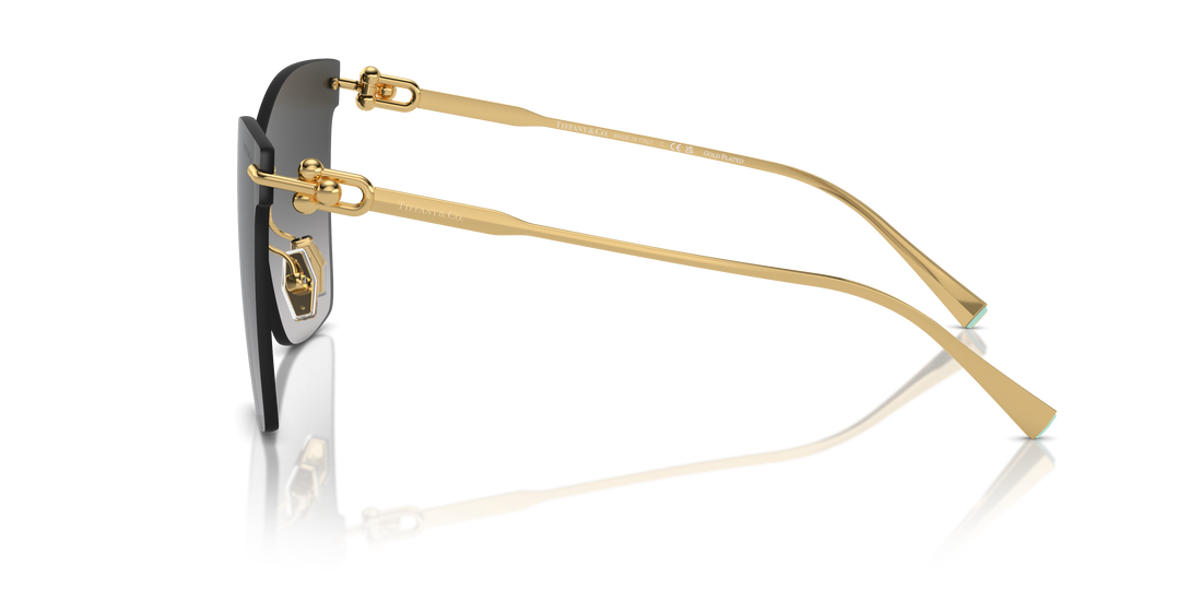 TIFFANY TF3103K 62113C 43