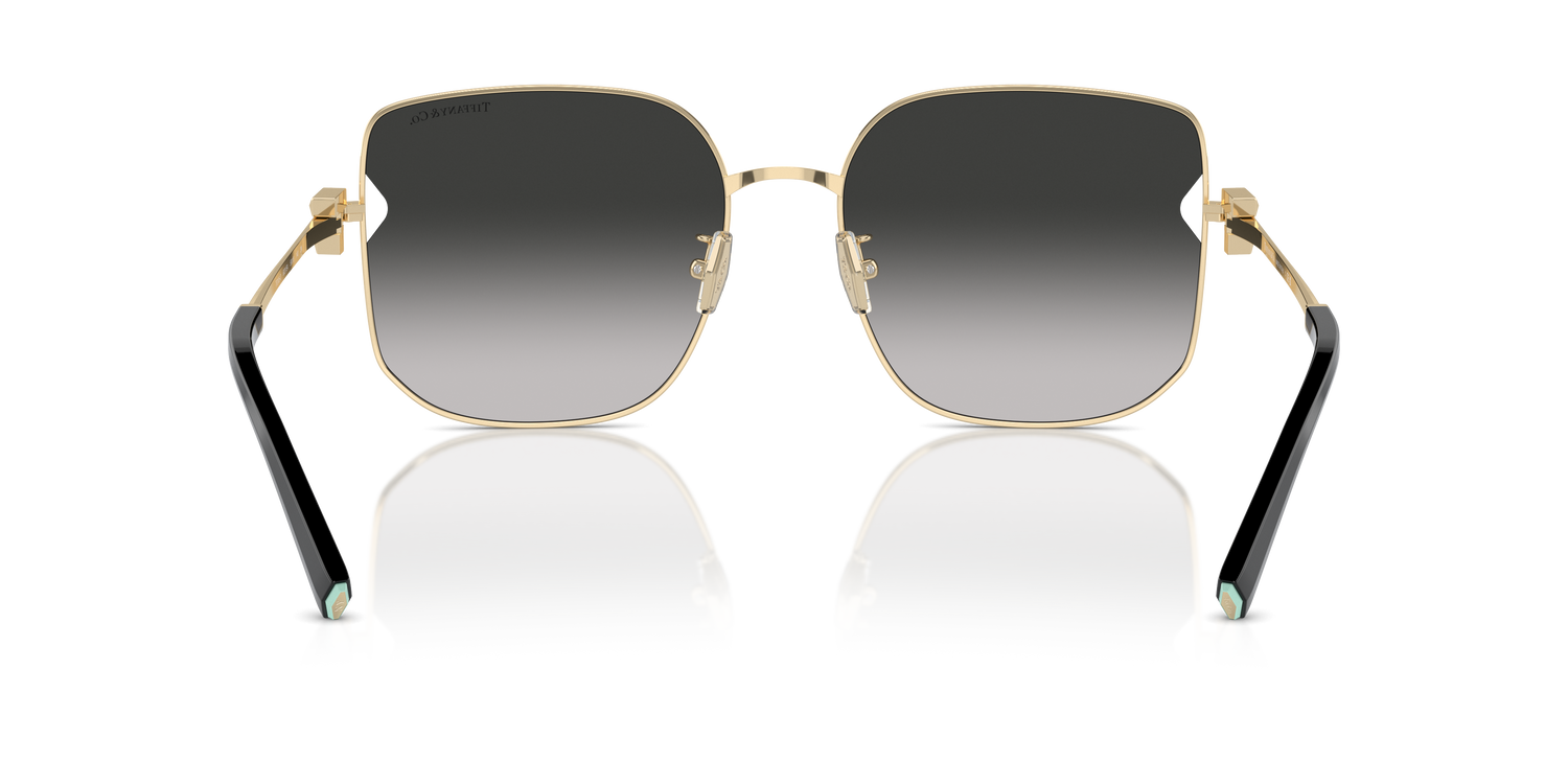 TIFFANY TF3105D 6021S4 58