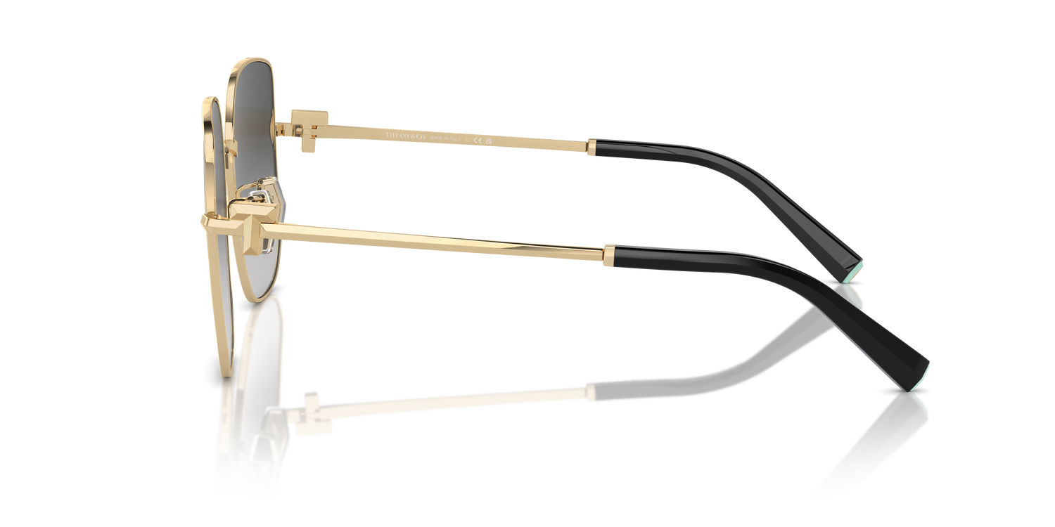 TIFFANY TF3105D 6021S4 58