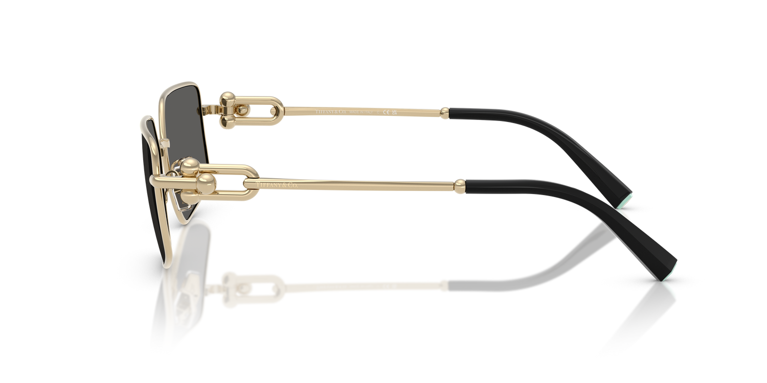 TIFFANY TF3111 6021S4 58